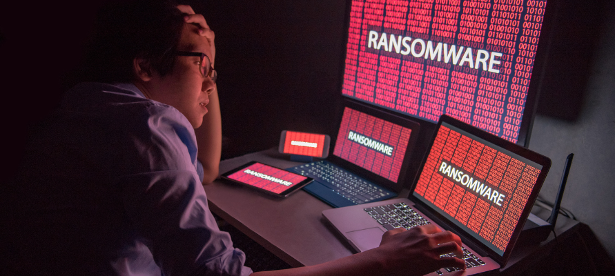 Formation : initiation à la sécurité informatique - Niveau 2